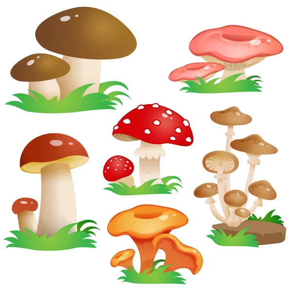 Color image of mushrooms on white background. Vector illustration set for kids. — Stock Illustration Color Image Mushrooms White Background Vector Illustration Set Kids Royalty Free Stock Illustrations