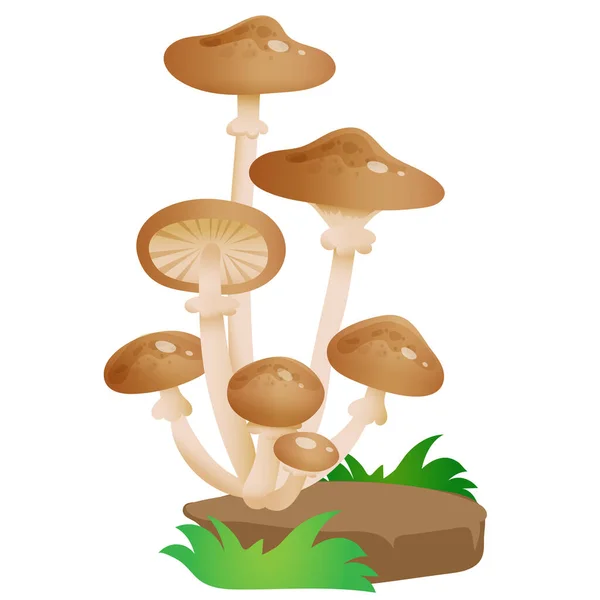 Color image of forest honey agarics on white background. Mushrooms. Vector illustration for kids. — Stock Illustration Color Image Forest Honey Agarics White Background Mushrooms Vector Illustration Stock Vector