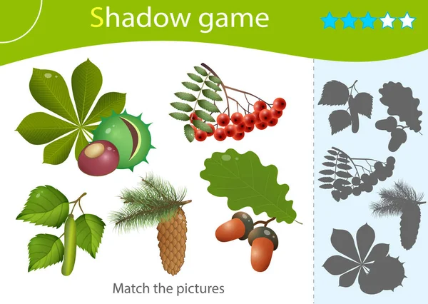 Juego Sombras Para Niños Coincide Con Sombra Correcta Imágenes Color — Vector de stock