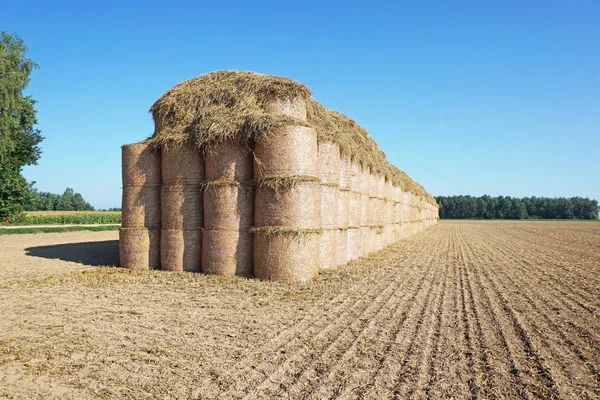 Sok Haystacks Egymásra Betakarítás Után — Stock Fotó