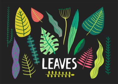 Vektör topluluğu çizilmiş renkli farklı bitkilerin bir siyah arka plan üzerine bırakır..