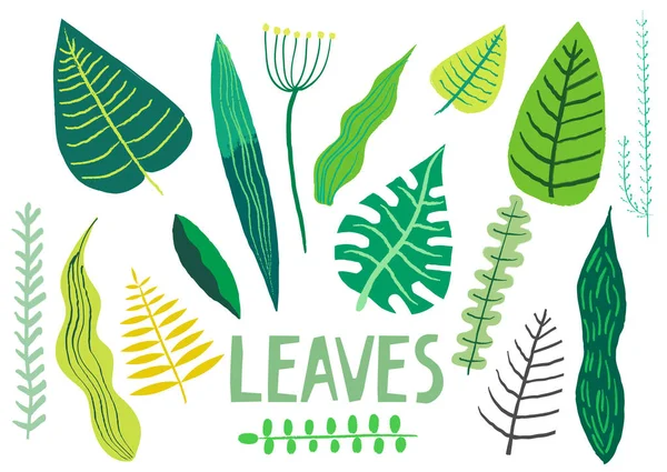 Vektorsammlung Von Handgezeichneten Grünen Blättern Verschiedener Pflanzen — Stockvektor