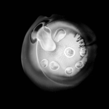 Siyah bir zemin üzerine biçimsiz sıvı beyaz nokta. Dernekler: mikroskop, embriyo, cosmos altında Dünya