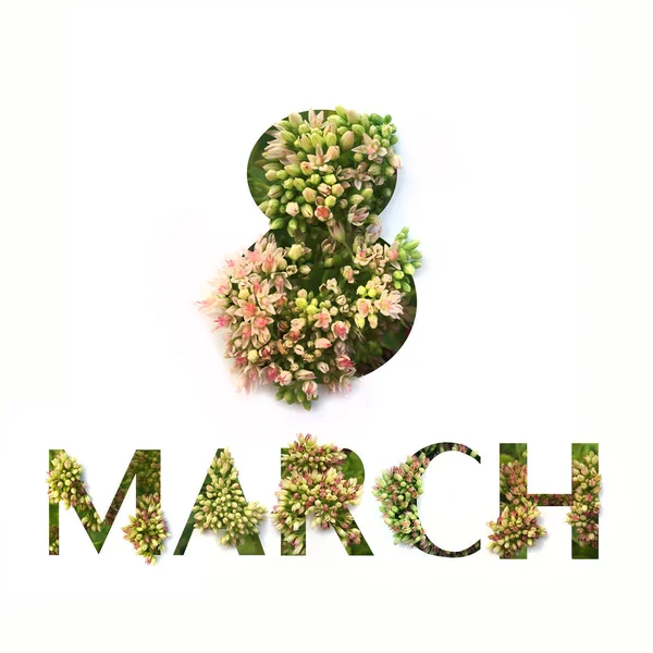Cut out words 8 MARCH with growing plant inside. Spring greeting card concept — Stock Photo, Image
