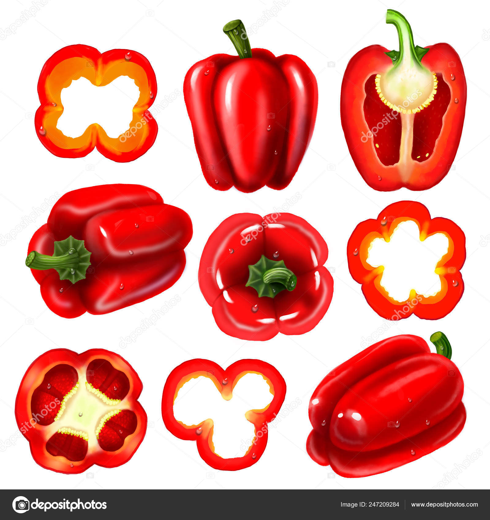 美しい花の画像 ユニークピーマン イラスト 手書き 美しい花の画像 ユニークピーマン イラスト 手書き