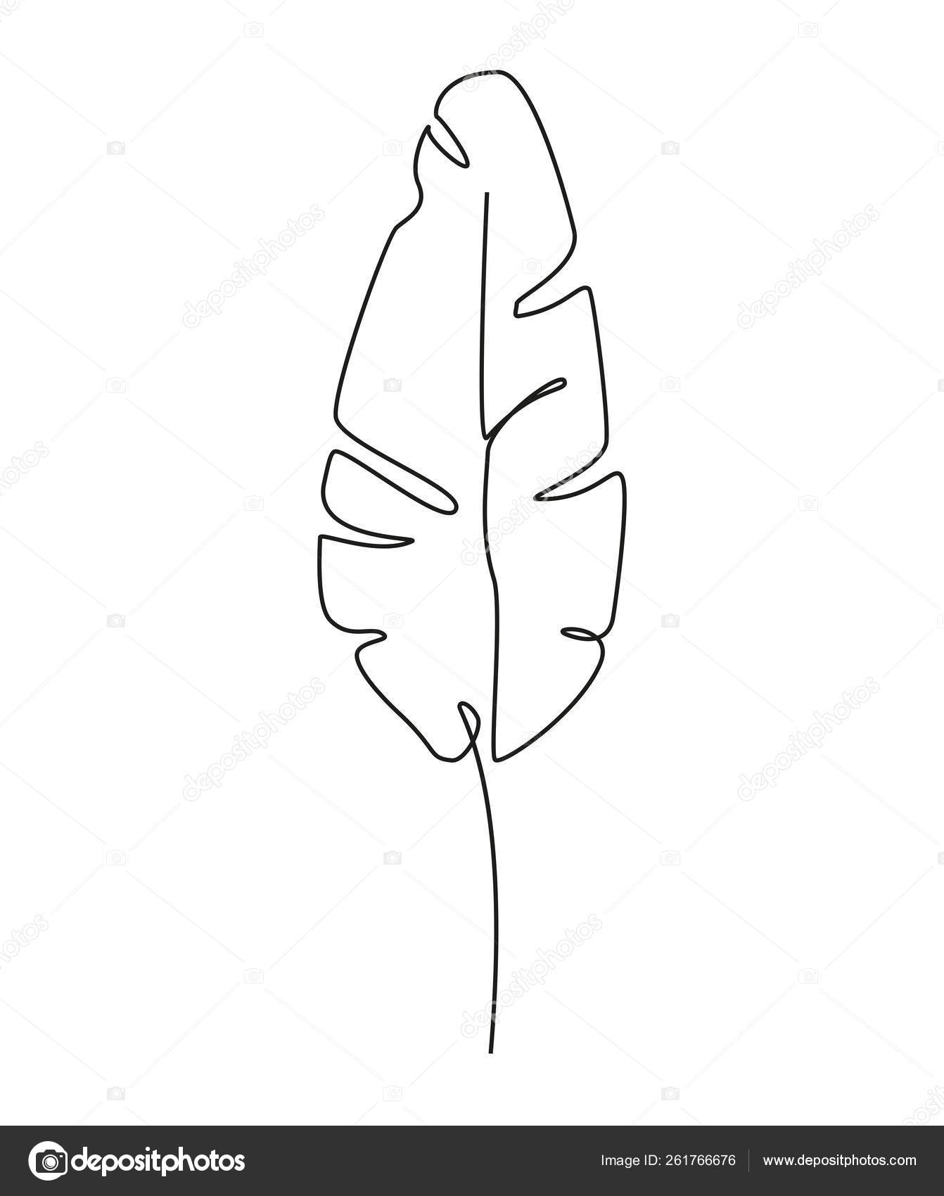 pix Printable Banana Leaf Outline one line drawing contour drawing of banana leaf stock vector image by c radionastya 261766676
