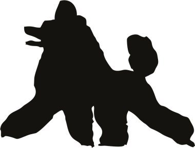 Kaniş, ana hat kaniş, siyah grafik köpeği, siyah ve beyaz çizim kanişi, illüstrasyon kanişi, vektör çizim kanişi, geometrik kaniş, şovdaki kaniş, tımar, kaniş, kaniş gösterisi, kaniş kulübü, logo çizimi, logo köpeği, logo köpeği, logo köpeği, logo köpeği. 