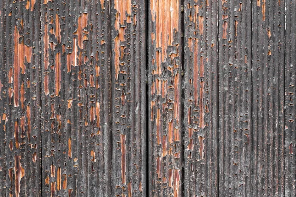 Dřevěné Dveře Oprýskanou Barvou — Stock fotografie
