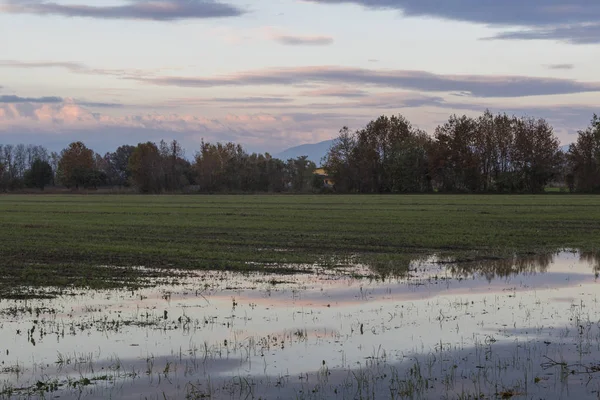 Campo inundado con reflejos de la puesta del sol — Foto de Stock