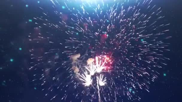 新年の花火の背景 — ストック動画