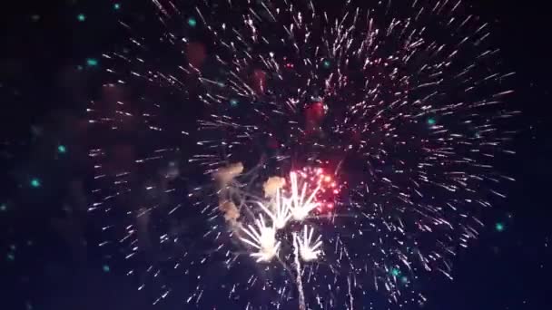 Novoroční Ohňostroj Pozadí — Stock video