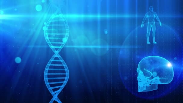 Dna Iplikçik Kafatası Insan Vücudu Ile Tıbbi Geçmişi — Stok video