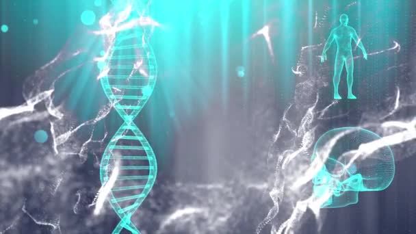 Dna Iplikçik Kafatası Insan Vücudu Ile Tıbbi Geçmişi — Stok video