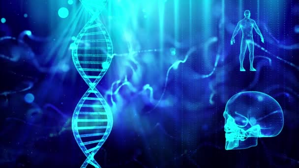 Sfondo Medico Con Dna Teschio Filamento Corpo Umano — Video Stock