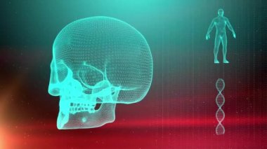 Dna iplikçik kafatası ve insan vücudu ile tıbbi geçmişi