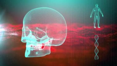 Dna iplikçik kafatası ve insan vücudu ile tıbbi geçmişi