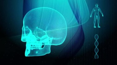 Dna iplikçik kafatası ve insan vücudu ile tıbbi geçmişi