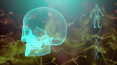 Dna iplikçik kafatası ve insan vücudu ile tıbbi geçmişi