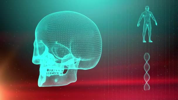Antecedentes Médicos Con Hebra Adn Cráneo Cuerpo Humano — Vídeos de Stock