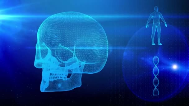Antecedentes Médicos Con Hebra Adn Cráneo Cuerpo Humano — Vídeo de stock