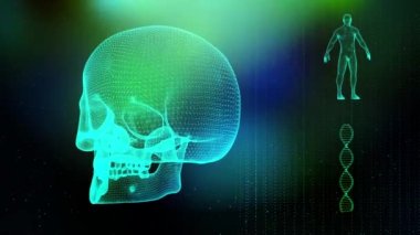 Dna iplikçik kafatası ve insan vücudu ile tıbbi geçmişi