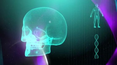 Dna iplikçik kafatası ve insan vücudu ile tıbbi geçmişi