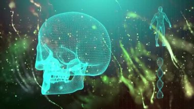 Dna iplikçik kafatası ve insan vücudu ile tıbbi geçmişi
