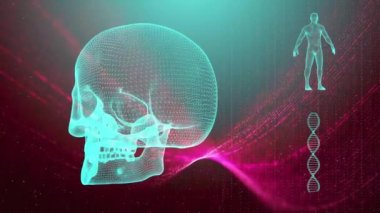 Dna iplikçik kafatası ve insan vücudu ile tıbbi geçmişi