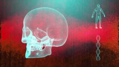 Dna iplikçik kafatası ve insan vücudu ile tıbbi geçmişi