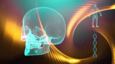 Dna iplikçik kafatası ve insan vücudu ile tıbbi geçmişi