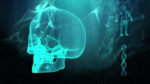 Antecedentes Médicos Con Hebra Adn Cráneo Cuerpo Humano — Vídeo de stock
