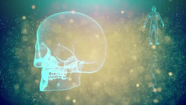 Fundal Medical Craniu Catenă Adn Corp Uman — Videoclip de stoc