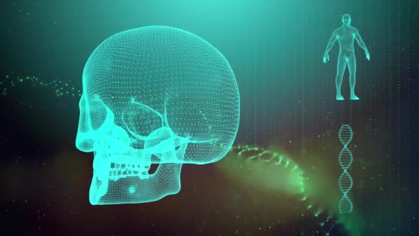 Fundal Medical Craniu Catenă Adn Corp Uman — Videoclip de stoc