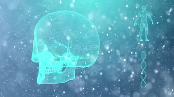 Medical Background Dna Strand Skull Human Body — Stock Video