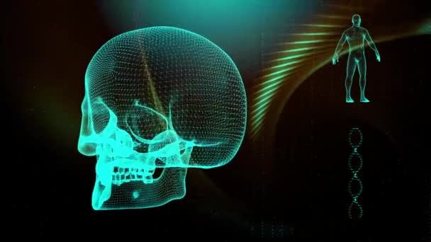 Dna 두개골과 인체와 — 비디오