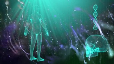 İnsan vücudu ve Dna dizisi ile tıbbi geçmişi