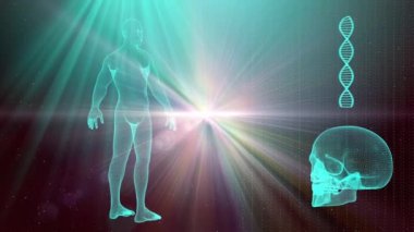 İnsan vücudu ve Dna dizisi ile tıbbi geçmişi