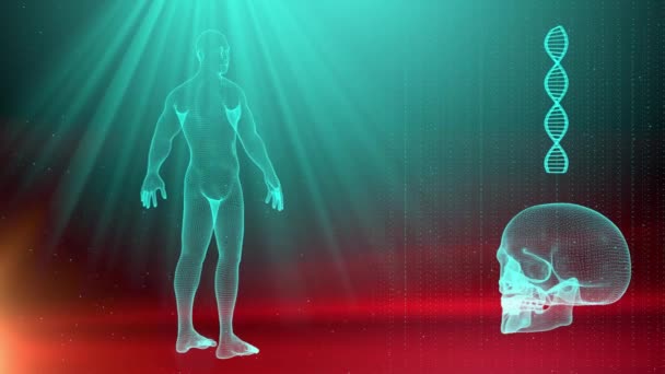 人間の体と Dna の繊維の医学的背景 — ストック動画