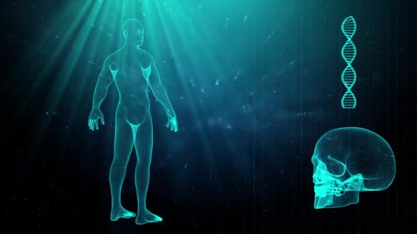 Medizinischer Hintergrund Mit Menschlichem Körper Und Dna Strang — Stockvideo