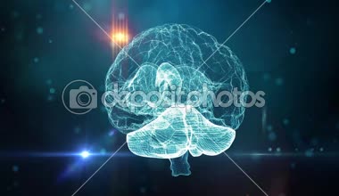 İnsan beyninin sinirsel ağ tıbbi geçmişi