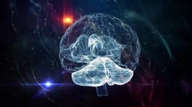 İnsan beyninin sinirsel ağ tıbbi geçmişi