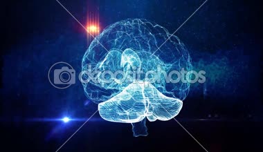 İnsan beyninin sinirsel ağ tıbbi geçmişi