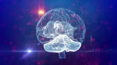 İnsan beyninin sinirsel ağ tıbbi geçmişi