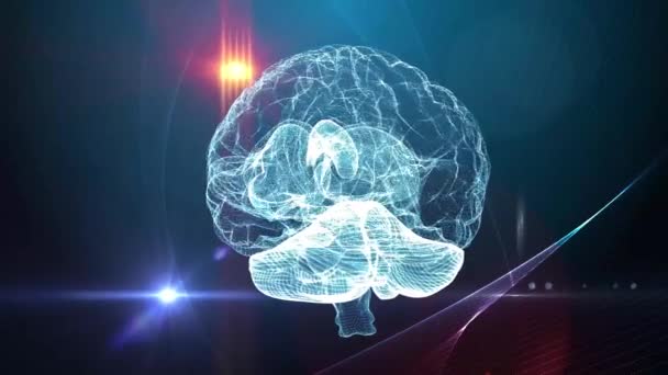 Contesto Medico Della Rete Neurale Cerebrale Umana — Video Stock