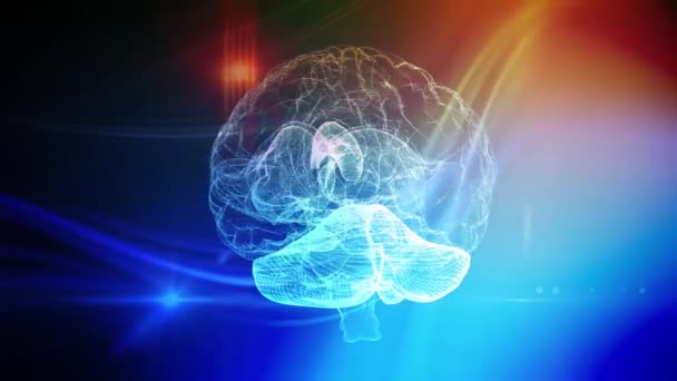 Rede Neural Cérebro Humano Formação Médica — Vídeo de Stock