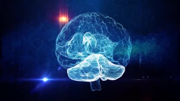 Rede Neural Cérebro Humano Formação Médica — Vídeo de Stock