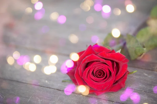 赤いバラの聖バレンタインの背景 — ストック写真
