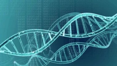 DNA çift sarmalı tıbbi geçmişi