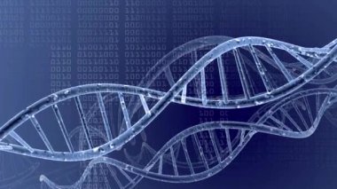DNA çift sarmalı tıbbi geçmişi