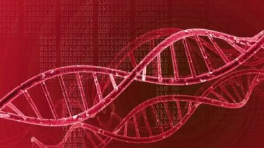 DNA çift sarmalı tıbbi geçmişi